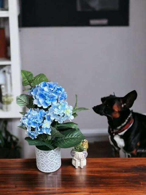 Greenera GAHY4600B Blue Hydrangea Artificial Potted Plant for Indoor & Outdoor Home Decoration