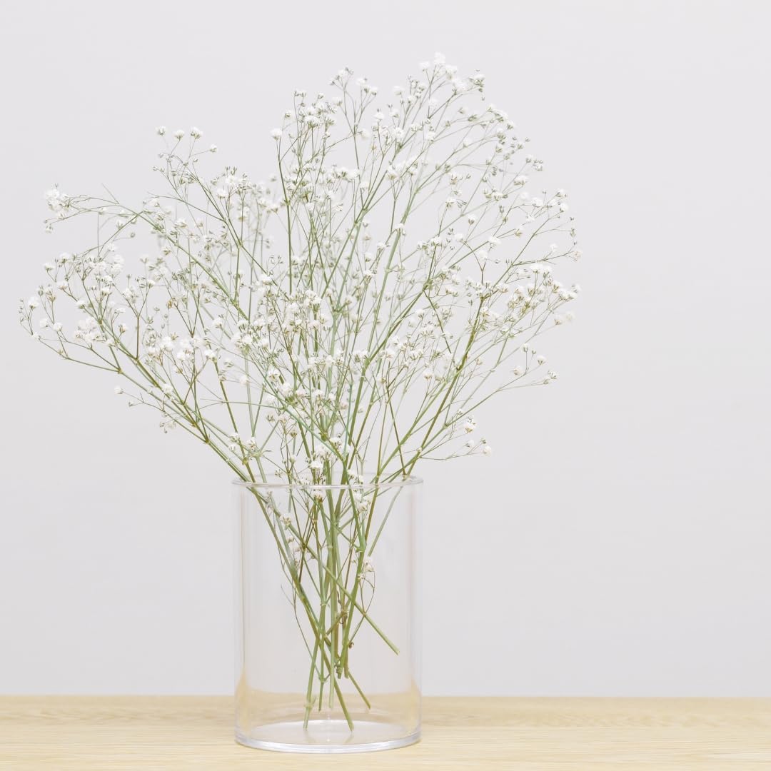 Auralyn Decor Faux Baby’s Breath Gypso Stick for Room, Diwali, Home Décor & Crafts – 2FT Artificial Flower