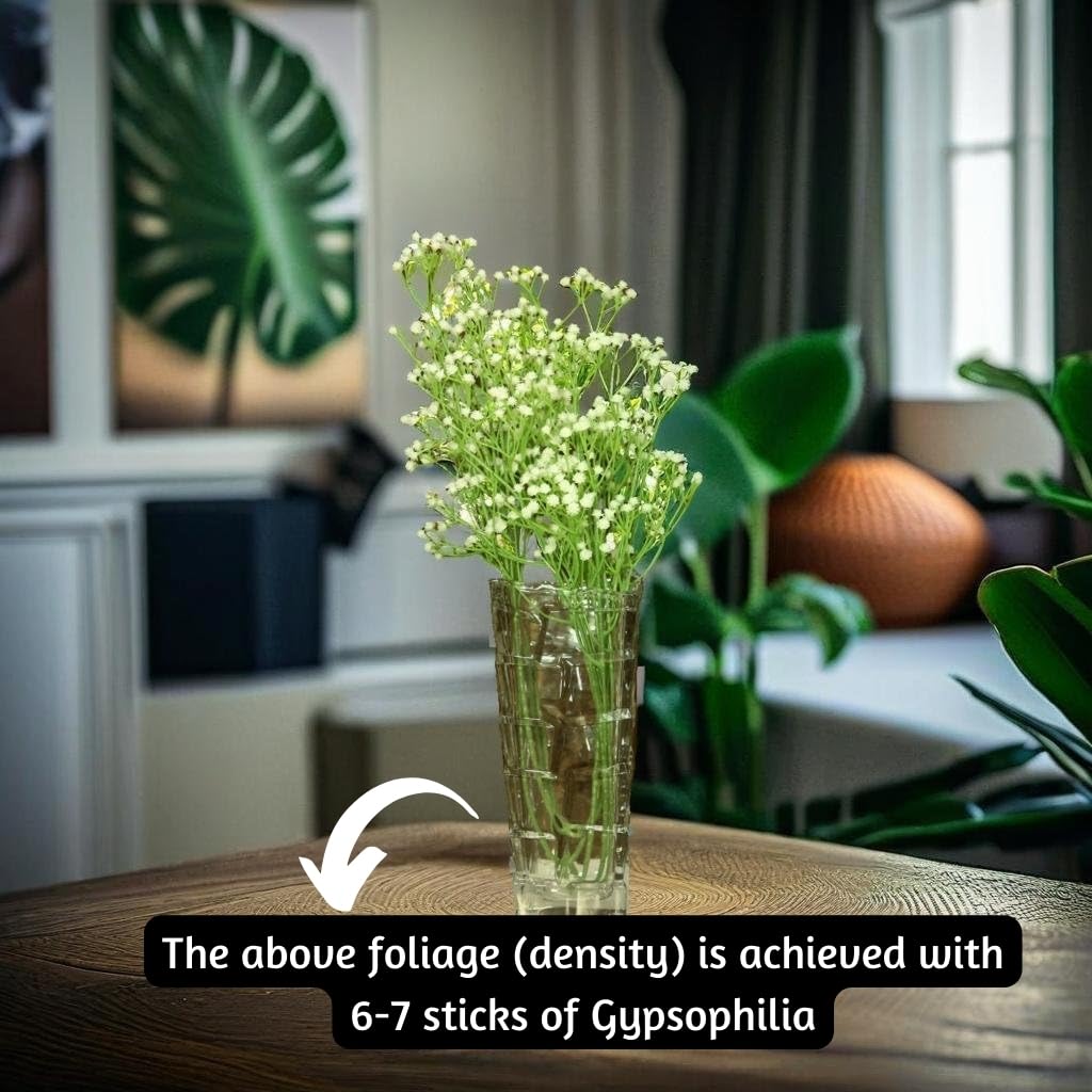 Auralyn Decor Faux Baby’s Breath Gypso Stick for Room, Diwali, Home Décor & Crafts – 2FT Artificial Flower